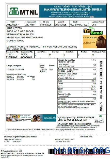 Blank India Mahanagar Telephone Nigam Limited utility bill template in Word and PDF formats